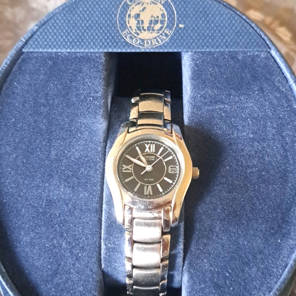 Ladies Citizen Eco-Drive Watch